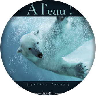 A l'eau !