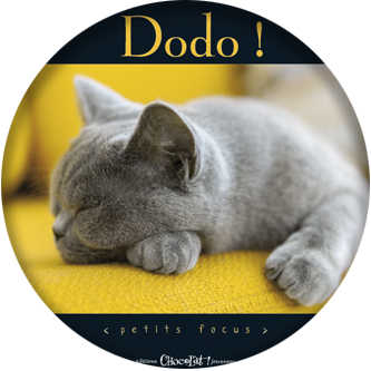 Dodo !