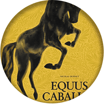 Equus Caballus