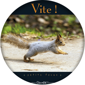 Vite !